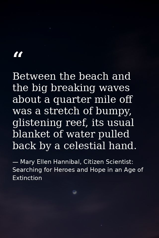 Between the beach and the big breaking waves about a quarter mile off was a stretch of bumpy, glistening reef, its usual — Mary Ellen Hannibal, Citizen Scientist: Searching for Heroes and Hope in an Age of Extinction