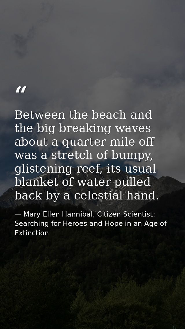 Between the beach and the big breaking waves about a quarter mile off was a stretch of bumpy, glistening reef, its usual — Mary Ellen Hannibal, Citizen Scientist: Searching for Heroes and Hope in an Age of Extinction
