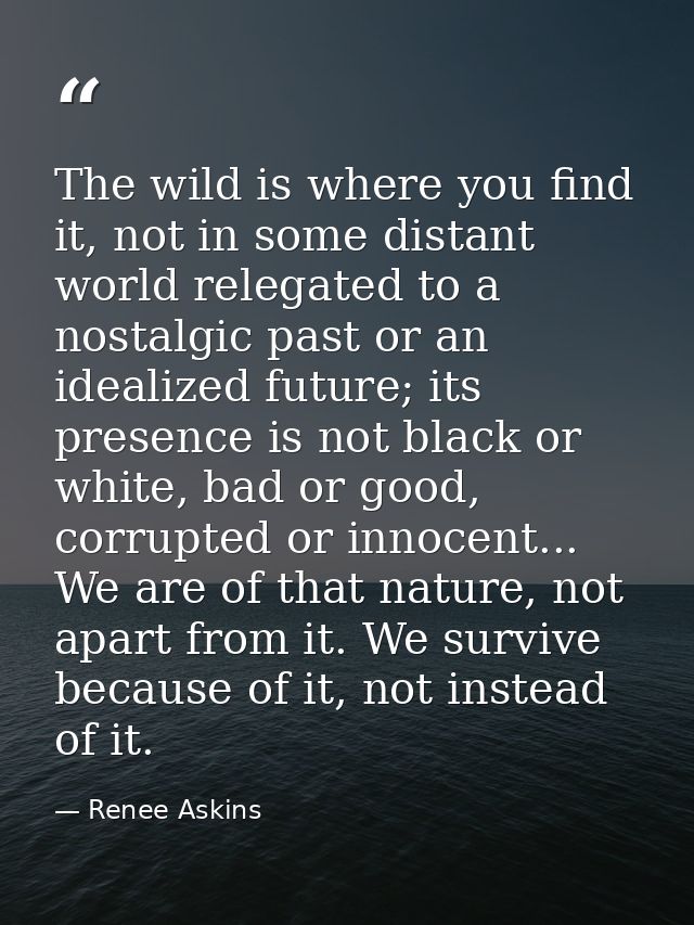The wild is where you find it, not in some distant world relegated to a nostalgic past or an idealized future; its prese — Renee Askins