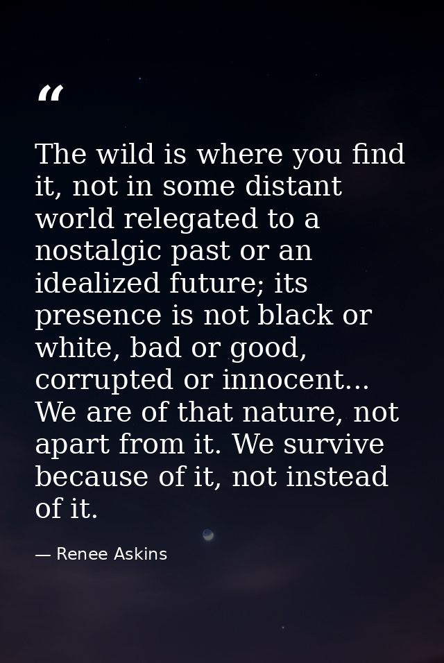 The wild is where you find it, not in some distant world relegated to a nostalgic past or an idealized future; its prese — Renee Askins