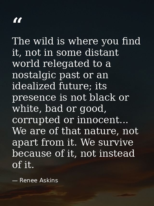 The wild is where you find it, not in some distant world relegated to a nostalgic past or an idealized future; its prese — Renee Askins