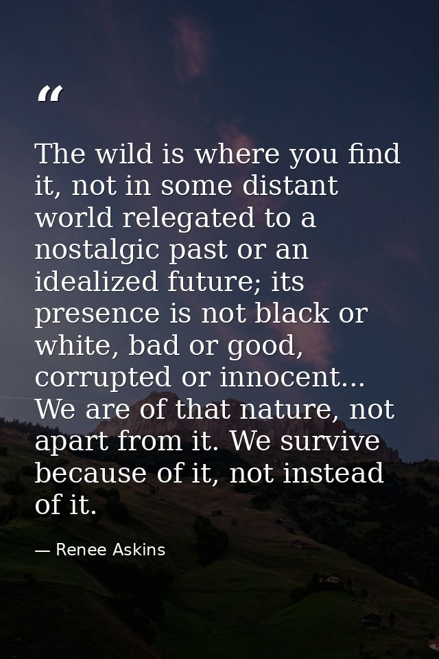 The wild is where you find it, not in some distant world relegated to a nostalgic past or an idealized future; its prese — Renee Askins