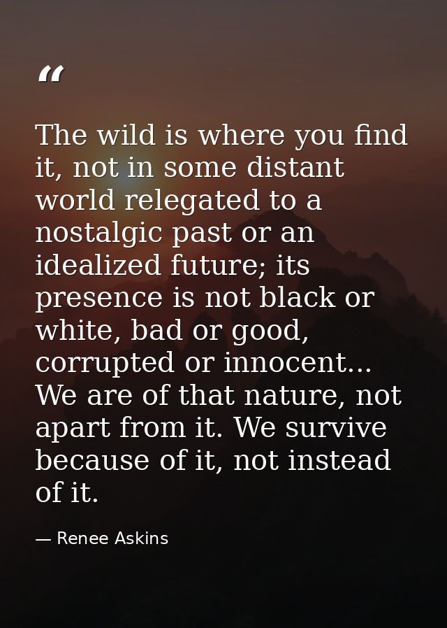 The wild is where you find it, not in some distant world relegated to a nostalgic past or an idealized future; its prese — Renee Askins