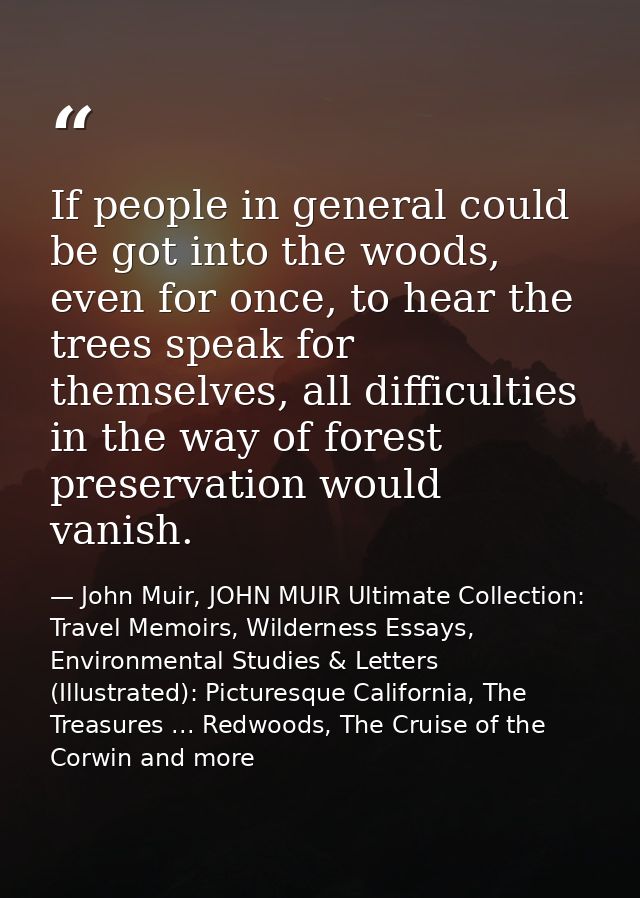 If people in general could be got into the woods, even for once, to hear the trees speak for themselves, all difficultie — John Muir, JOHN MUIR Ultimate Collection: Travel Memoirs, Wilderness Essays, Environmental Studies & Letters (Illustrated): Picturesque California, The Treasures ... Redwoods, The Cruise of the Corwin and more