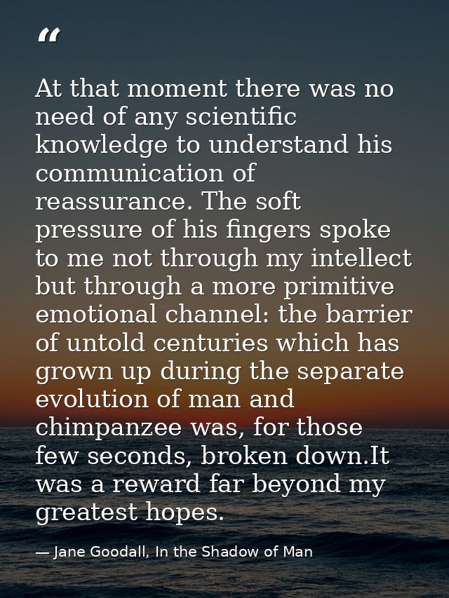 At that moment there was no need of any scientific knowledge to understand his communication of reassurance. The soft pr — Jane Goodall, In the Shadow of Man