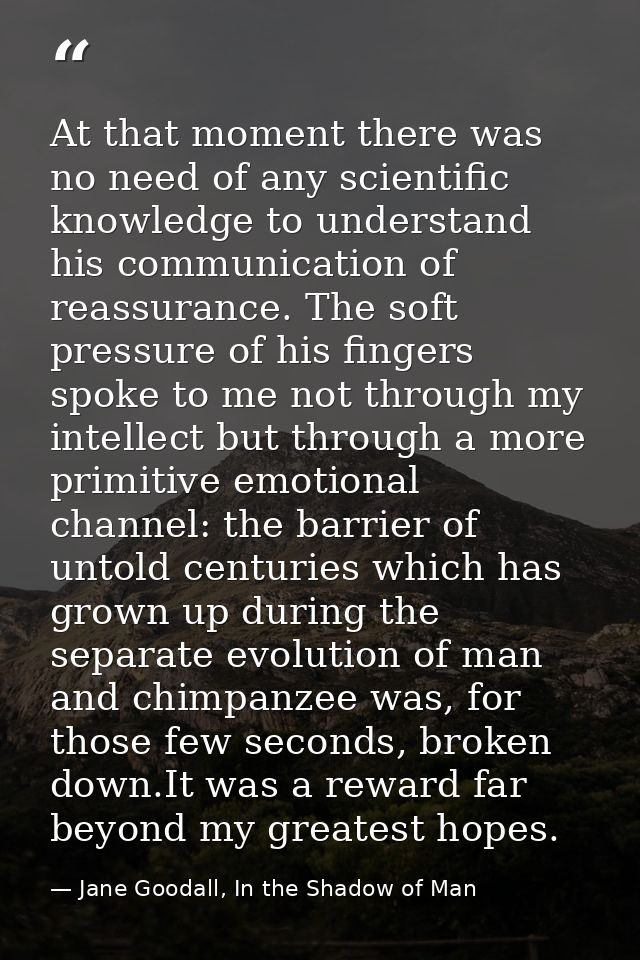 At that moment there was no need of any scientific knowledge to understand his communication of reassurance. The soft pr — Jane Goodall, In the Shadow of Man