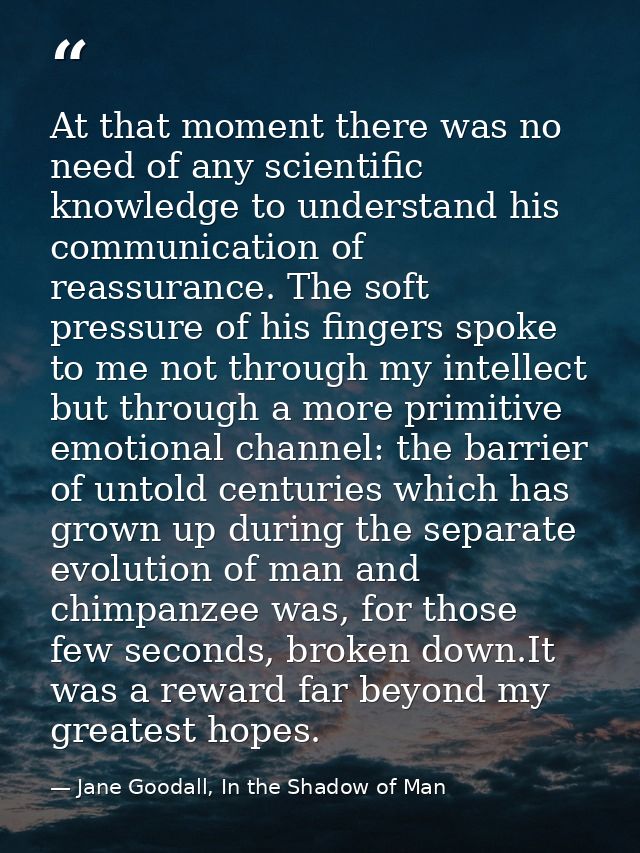 At that moment there was no need of any scientific knowledge to understand his communication of reassurance. The soft pr — Jane Goodall, In the Shadow of Man