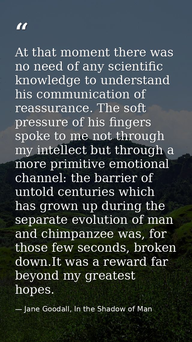 At that moment there was no need of any scientific knowledge to understand his communication of reassurance. The soft pr — Jane Goodall, In the Shadow of Man