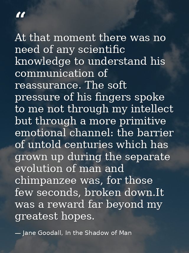 At that moment there was no need of any scientific knowledge to understand his communication of reassurance. The soft pr — Jane Goodall, In the Shadow of Man