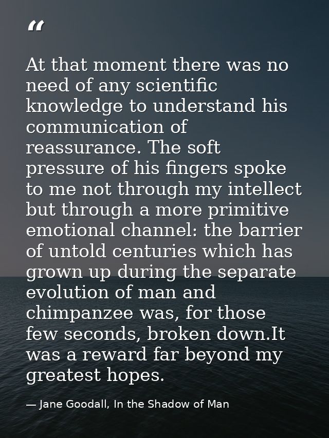 At that moment there was no need of any scientific knowledge to understand his communication of reassurance. The soft pr — Jane Goodall, In the Shadow of Man