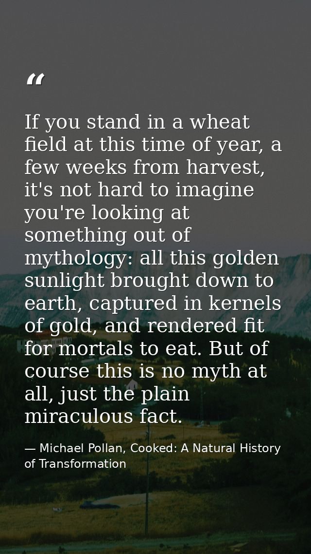 If you stand in a wheat field at this time of year, a few weeks from harvest, it's not hard to imagine you're looking at — Michael Pollan, Cooked: A Natural History of Transformation