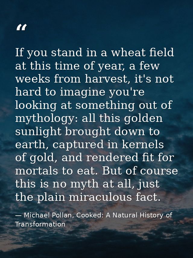 If you stand in a wheat field at this time of year, a few weeks from harvest, it's not hard to imagine you're looking at — Michael Pollan, Cooked: A Natural History of Transformation