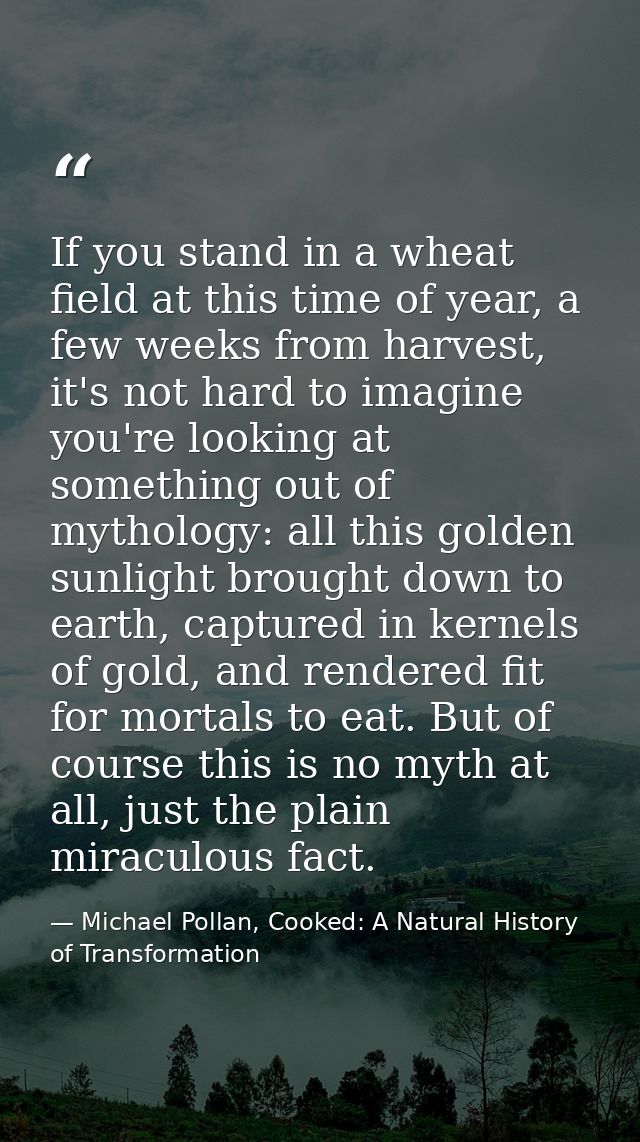 If you stand in a wheat field at this time of year, a few weeks from harvest, it's not hard to imagine you're looking at — Michael Pollan, Cooked: A Natural History of Transformation
