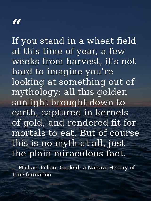If you stand in a wheat field at this time of year, a few weeks from harvest, it's not hard to imagine you're looking at — Michael Pollan, Cooked: A Natural History of Transformation