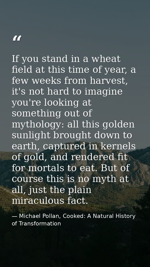 If you stand in a wheat field at this time of year, a few weeks from harvest, it's not hard to imagine you're looking at — Michael Pollan, Cooked: A Natural History of Transformation