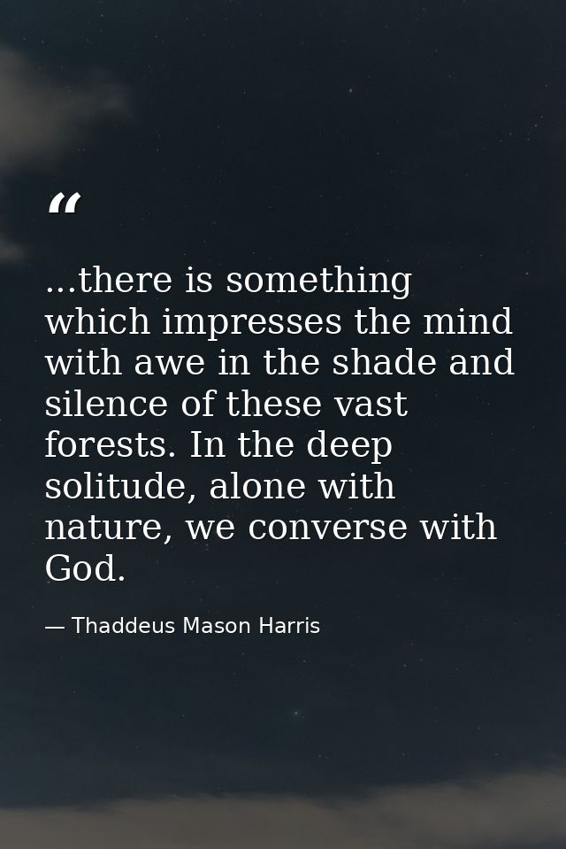 ...there is something which impresses the mind with awe in the shade and silence of these vast forests. In the deep soli — Thaddeus Mason Harris