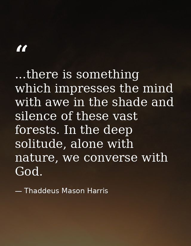 ...there is something which impresses the mind with awe in the shade and silence of these vast forests. In the deep soli — Thaddeus Mason Harris
