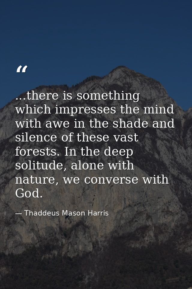 ...there is something which impresses the mind with awe in the shade and silence of these vast forests. In the deep soli — Thaddeus Mason Harris