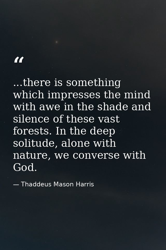 ...there is something which impresses the mind with awe in the shade and silence of these vast forests. In the deep soli — Thaddeus Mason Harris