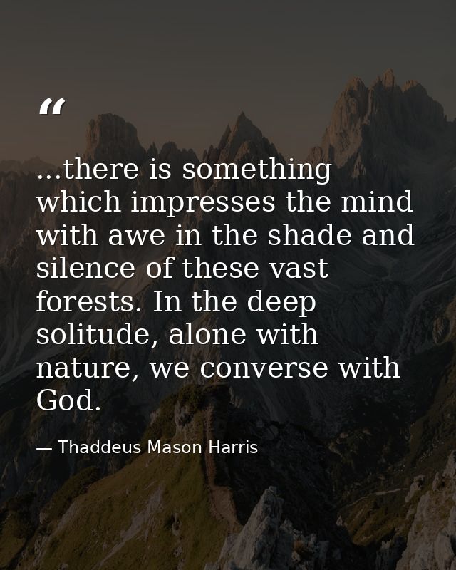...there is something which impresses the mind with awe in the shade and silence of these vast forests. In the deep soli — Thaddeus Mason Harris