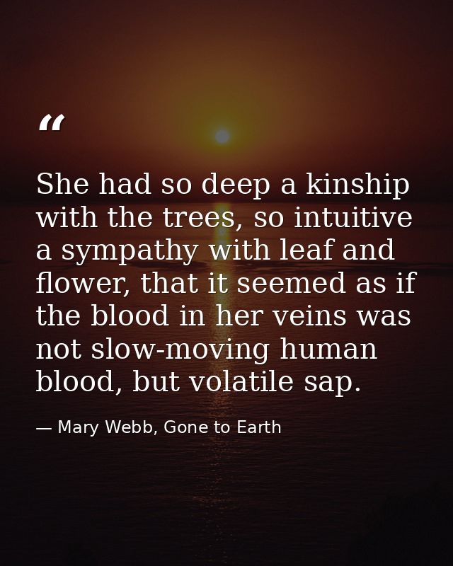 She had so deep a kinship with the trees, so intuitive a sympathy with leaf and flower, that it seemed as if the blood i — Mary Webb, Gone to Earth