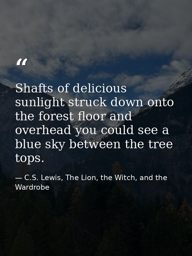 Shafts of delicious sunlight struck down onto the forest floor and overhead you could see a blue sky between the tree to — C.S. Lewis, The Lion, the Witch, and the Wardrobe