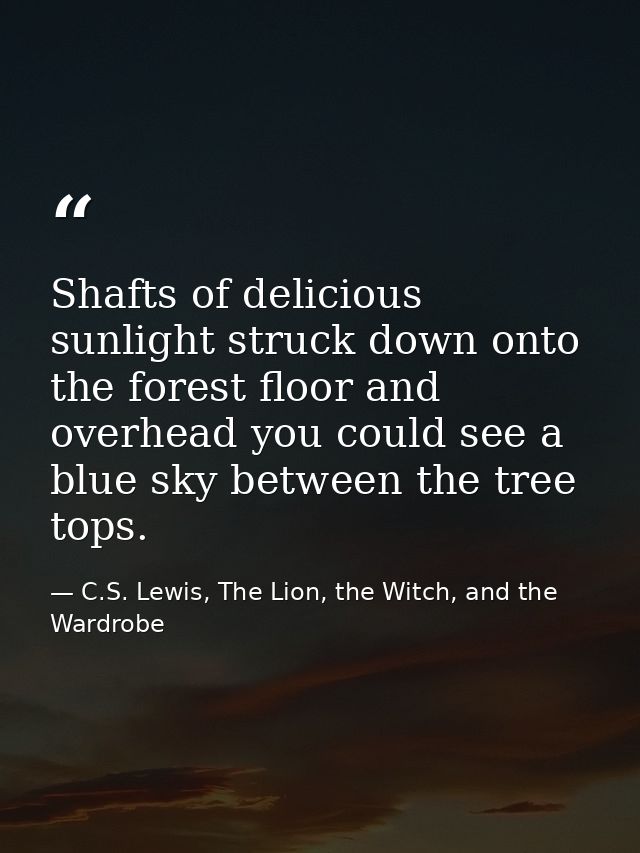 Shafts of delicious sunlight struck down onto the forest floor and overhead you could see a blue sky between the tree to — C.S. Lewis, The Lion, the Witch, and the Wardrobe