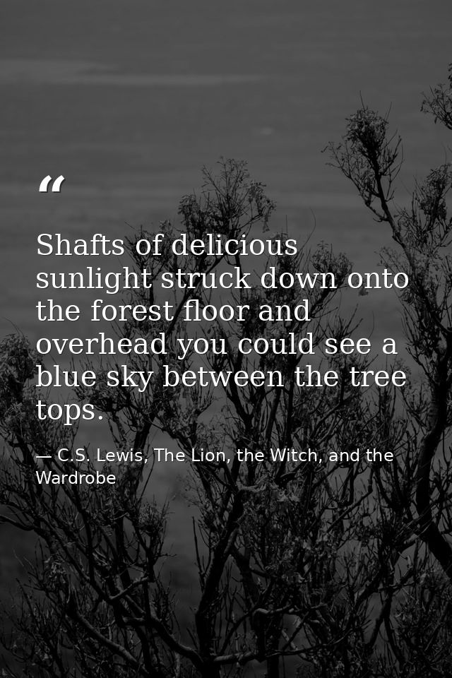 Shafts of delicious sunlight struck down onto the forest floor and overhead you could see a blue sky between the tree to — C.S. Lewis, The Lion, the Witch, and the Wardrobe