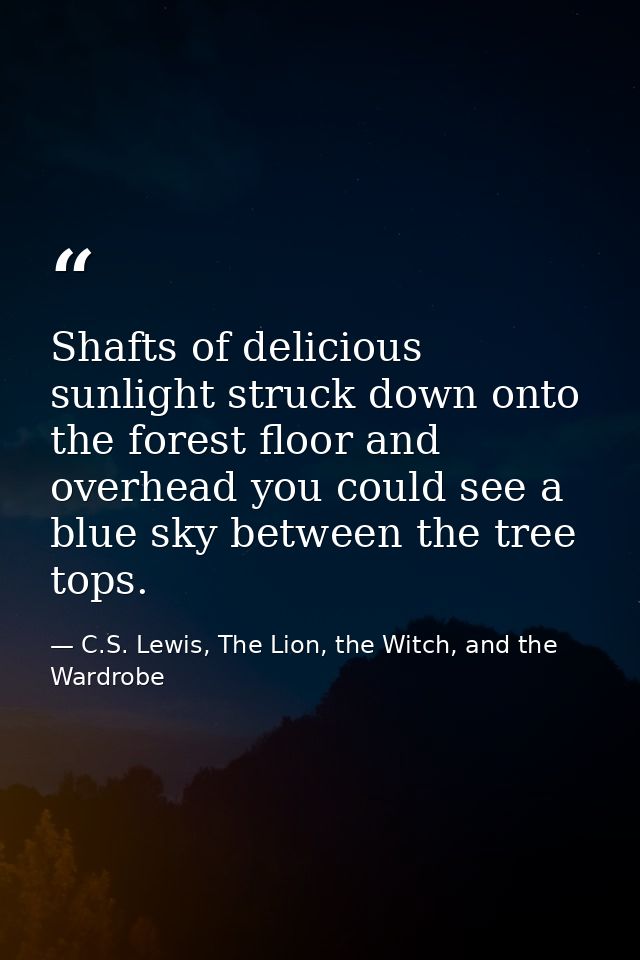 Shafts of delicious sunlight struck down onto the forest floor and overhead you could see a blue sky between the tree to — C.S. Lewis, The Lion, the Witch, and the Wardrobe