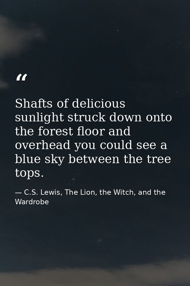 Shafts of delicious sunlight struck down onto the forest floor and overhead you could see a blue sky between the tree to — C.S. Lewis, The Lion, the Witch, and the Wardrobe