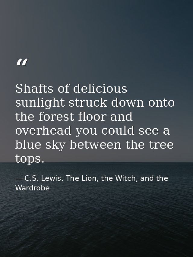 Shafts of delicious sunlight struck down onto the forest floor and overhead you could see a blue sky between the tree to — C.S. Lewis, The Lion, the Witch, and the Wardrobe
