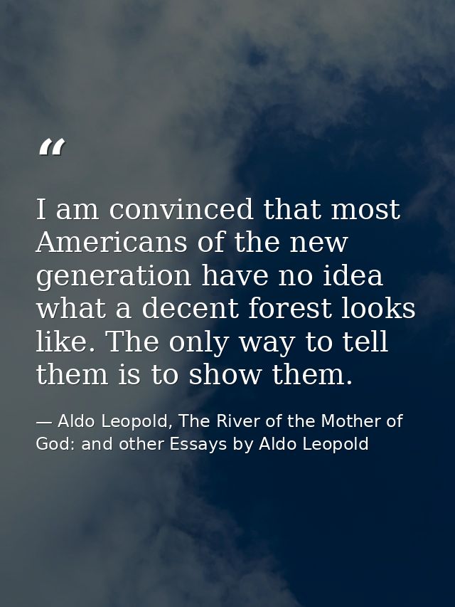 I am convinced that most Americans of the new generation have no idea what a decent forest looks like. The only way to t — Aldo Leopold, The River of the Mother of God: and other Essays by Aldo Leopold