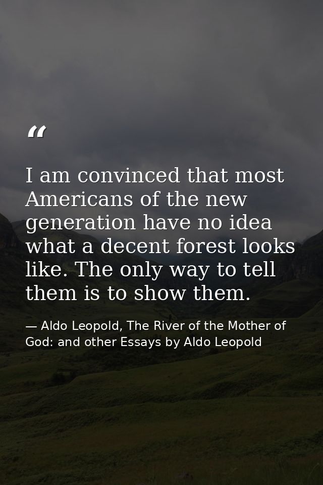 I am convinced that most Americans of the new generation have no idea what a decent forest looks like. The only way to t — Aldo Leopold, The River of the Mother of God: and other Essays by Aldo Leopold