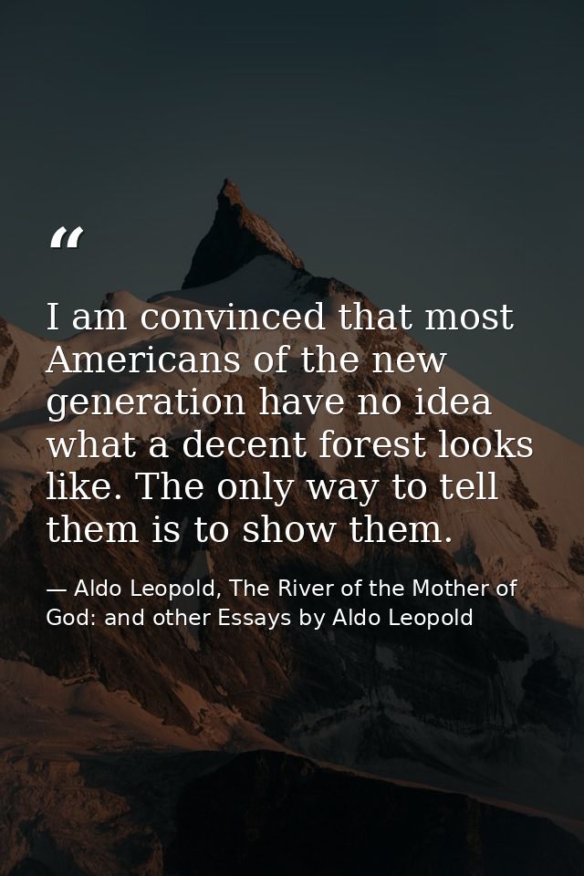 I am convinced that most Americans of the new generation have no idea what a decent forest looks like. The only way to t — Aldo Leopold, The River of the Mother of God: and other Essays by Aldo Leopold