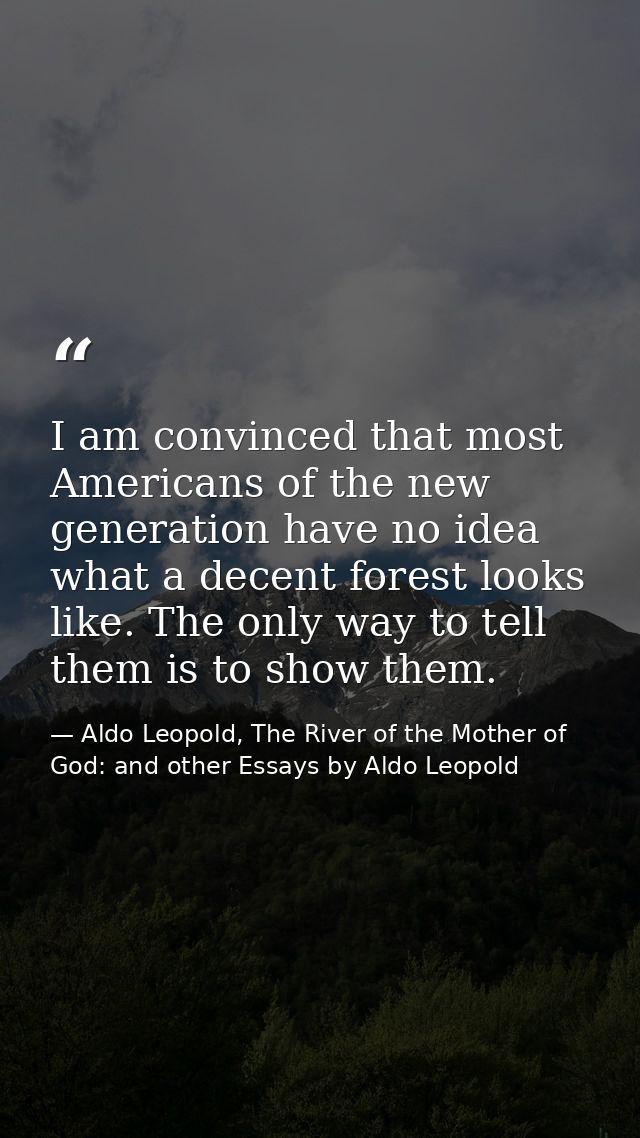 I am convinced that most Americans of the new generation have no idea what a decent forest looks like. The only way to t — Aldo Leopold, The River of the Mother of God: and other Essays by Aldo Leopold
