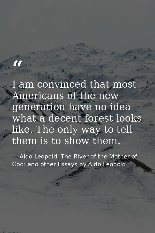 I am convinced that most Americans of the new generation have no idea what a decent forest looks like. The only way to t — Aldo Leopold, The River of the Mother of God: and other Essays by Aldo Leopold