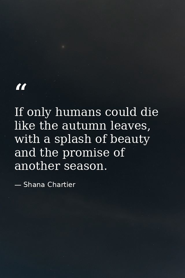 If only humans could die like the autumn leaves, with a splash of beauty and the promise of another season. — Shana Chartier