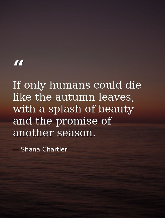 If only humans could die like the autumn leaves, with a splash of beauty and the promise of another season. — Shana Chartier