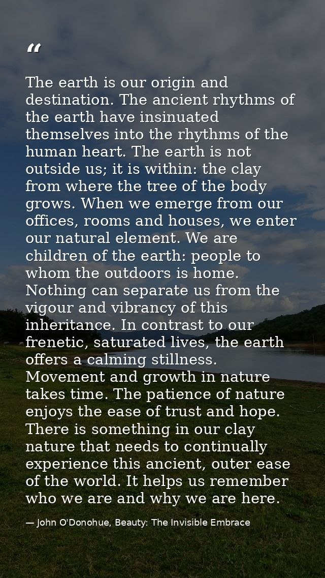 The earth is our origin and destination. The ancient rhythms of the earth have insinuated themselves into the rhythms of — John O'Donohue, Beauty: The Invisible Embrace