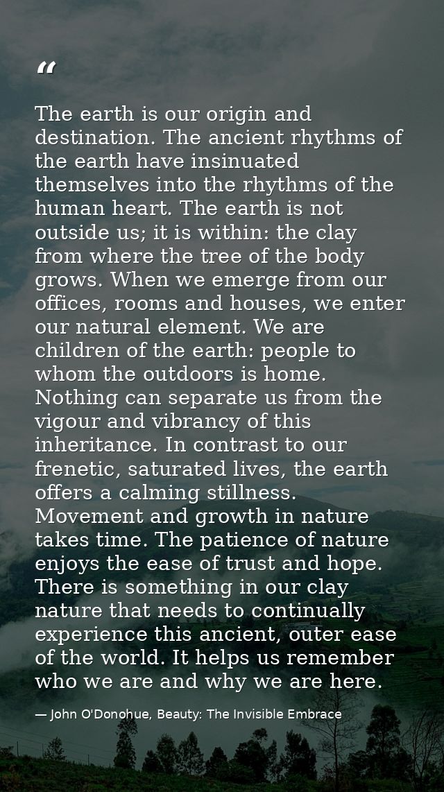 The earth is our origin and destination. The ancient rhythms of the earth have insinuated themselves into the rhythms of — John O'Donohue, Beauty: The Invisible Embrace