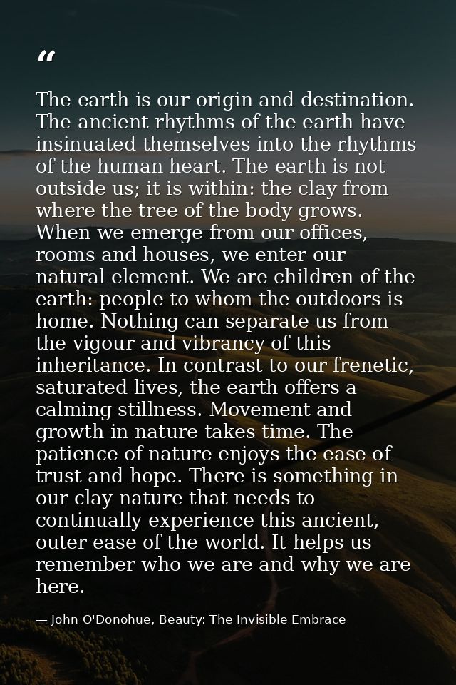 The earth is our origin and destination. The ancient rhythms of the earth have insinuated themselves into the rhythms of — John O'Donohue, Beauty: The Invisible Embrace