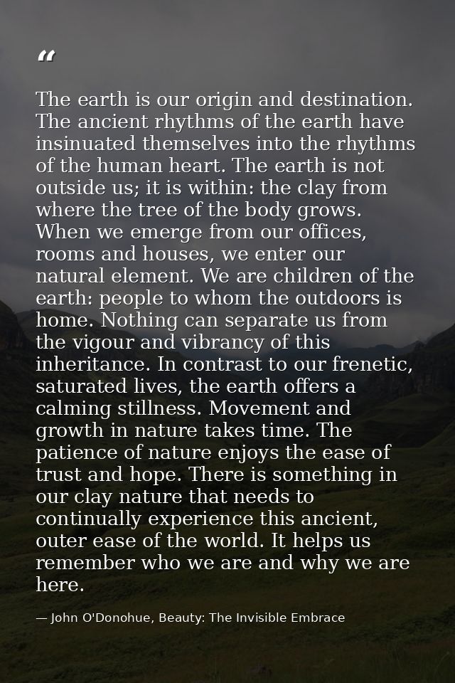 The earth is our origin and destination. The ancient rhythms of the earth have insinuated themselves into the rhythms of — John O'Donohue, Beauty: The Invisible Embrace