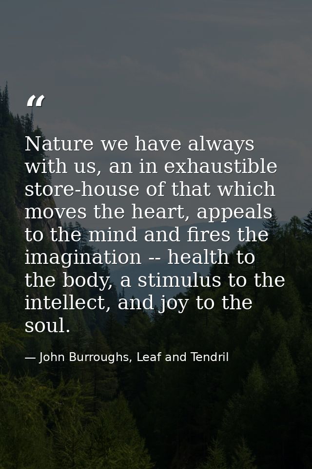 Nature we have always with us, an in exhaustible store-house of that which moves the heart, appeals to the mind and fire — John Burroughs, Leaf and Tendril