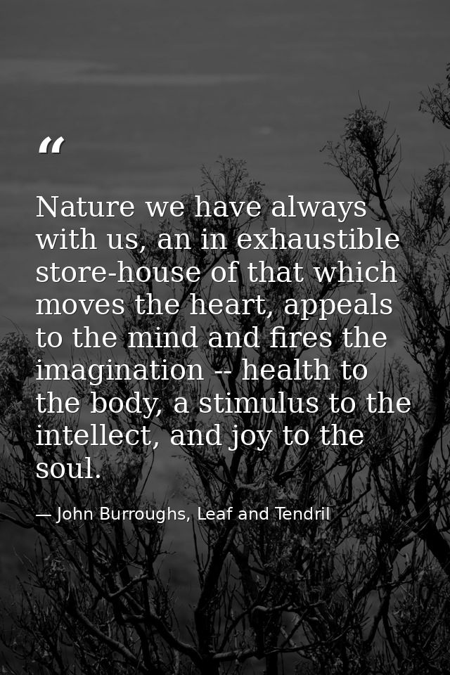 Nature we have always with us, an in exhaustible store-house of that which moves the heart, appeals to the mind and fire — John Burroughs, Leaf and Tendril
