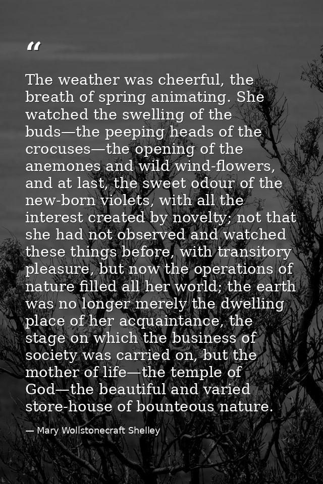 The weather was cheerful, the breath of spring animating. She watched the swelling of the buds—the peeping heads of the  — Mary Wollstonecraft Shelley