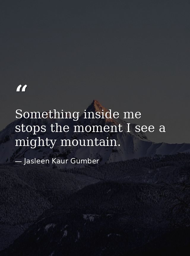 Something inside me stops the moment I see a mighty mountain. — Jasleen Kaur Gumber