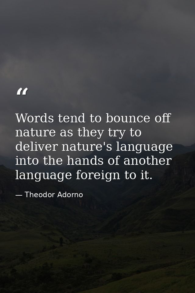 Words tend to bounce off nature as they try to deliver nature's language into the hands of another language foreign to i — Theodor Adorno