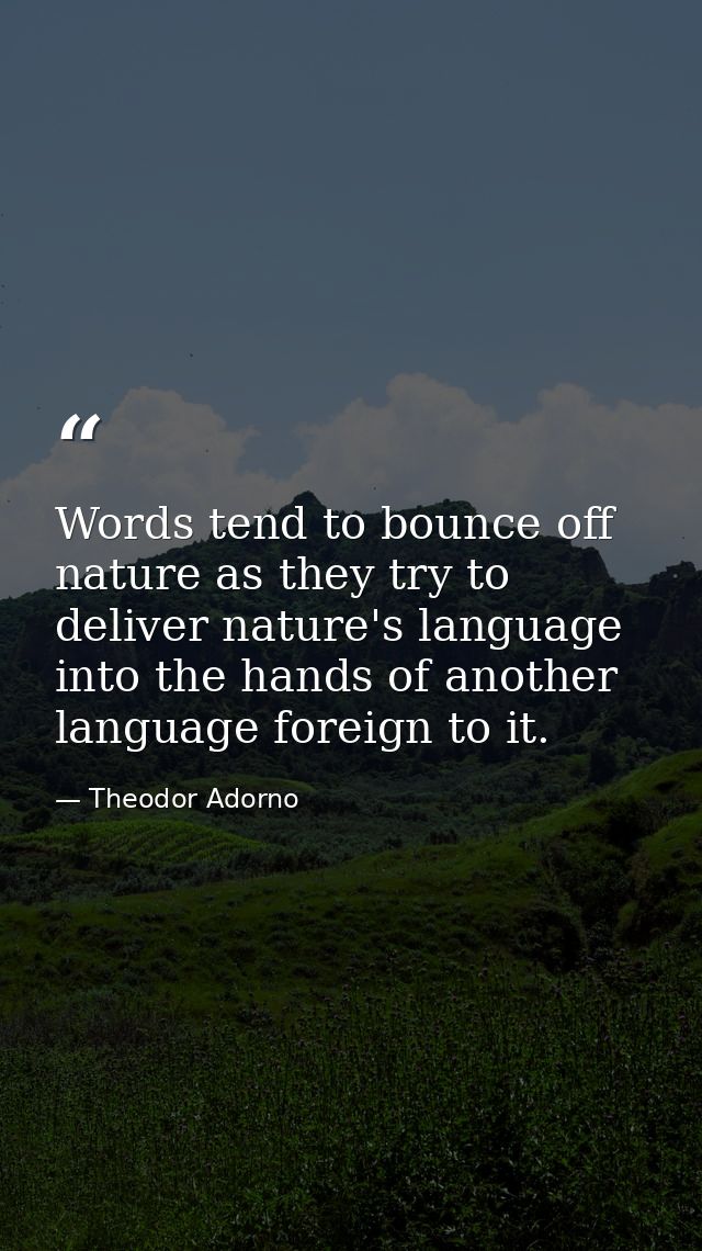 Words tend to bounce off nature as they try to deliver nature's language into the hands of another language foreign to i — Theodor Adorno