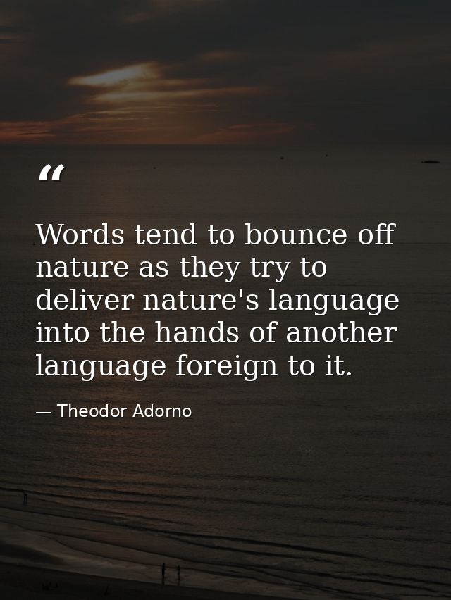 Words tend to bounce off nature as they try to deliver nature's language into the hands of another language foreign to i — Theodor Adorno