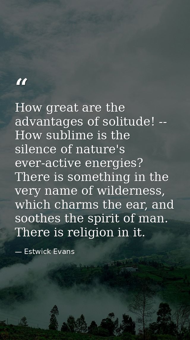 How great are the advantages of solitude! -- How sublime is the silence of nature's ever-active energies? There is somet — Estwick Evans